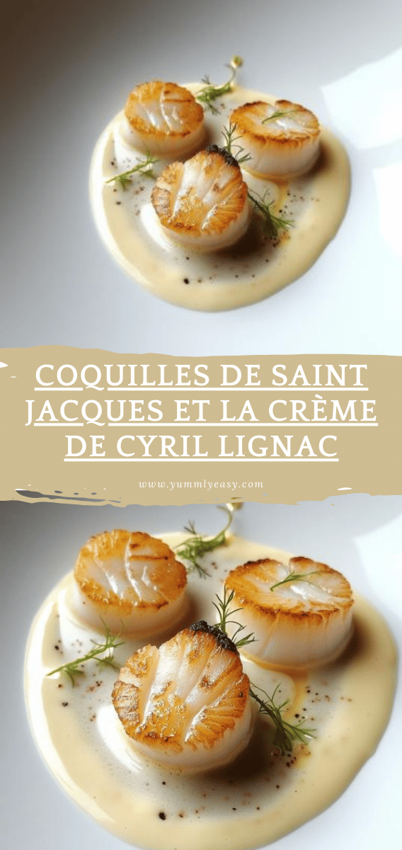 Sitemapcdatahttpsshopinf Inetcomnoix St Jacques Endives Cyril Lignac
